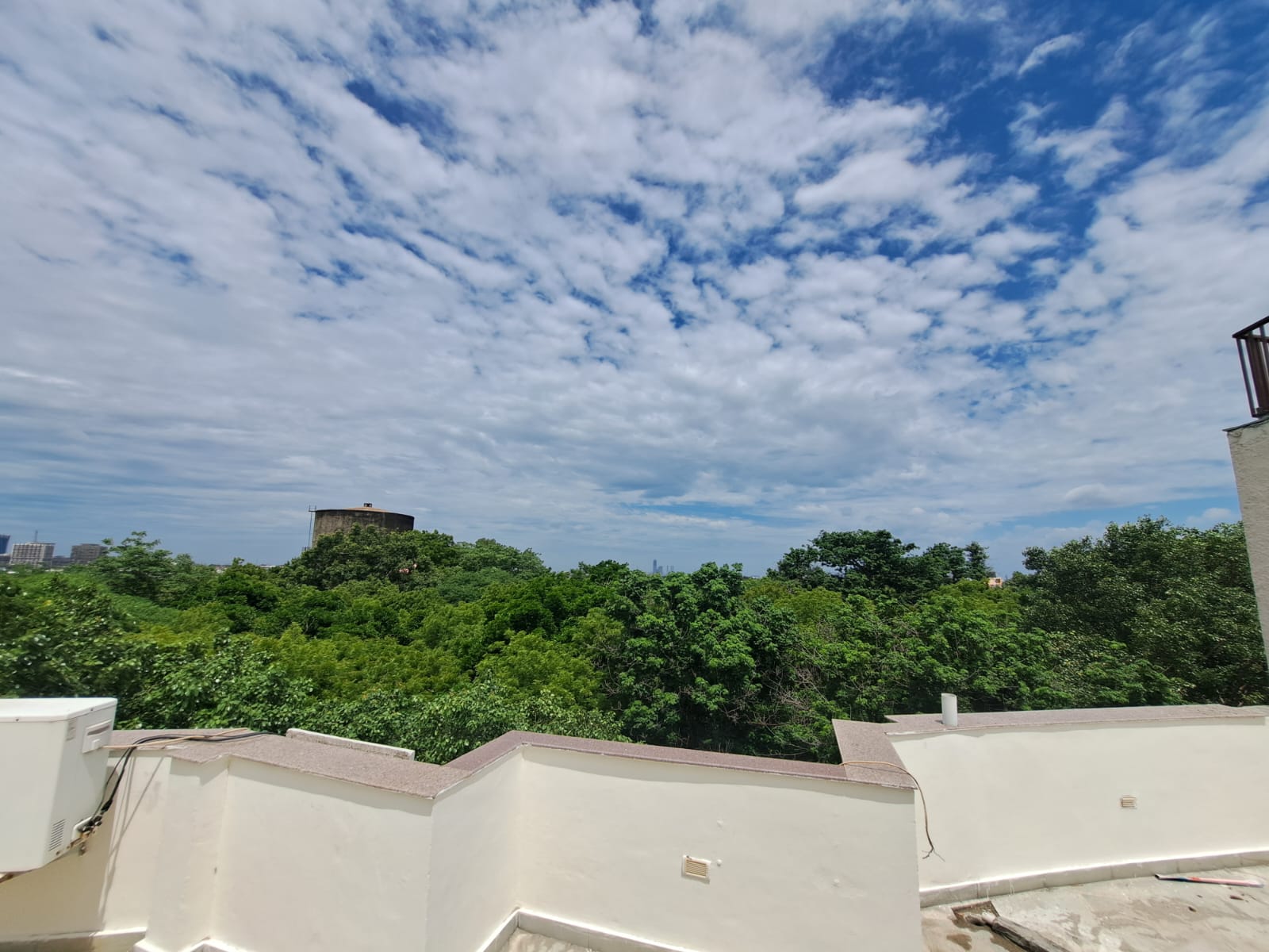 1 BHK Builder Floor For Rent in Chittaranjan Park