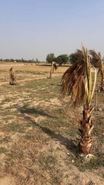 102 Sq.Yd. Plot in Knowledge Park 1 Greater Noida