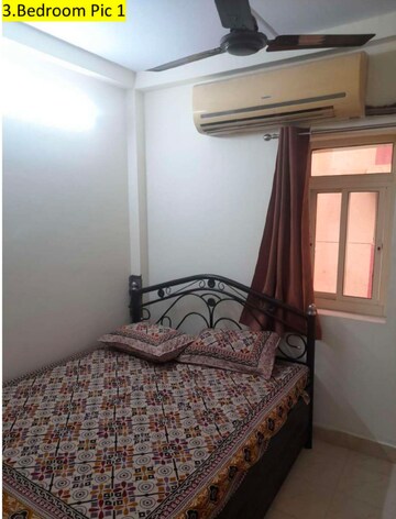 1 BHK Apartment For Rent in Sector 23 Dwarka