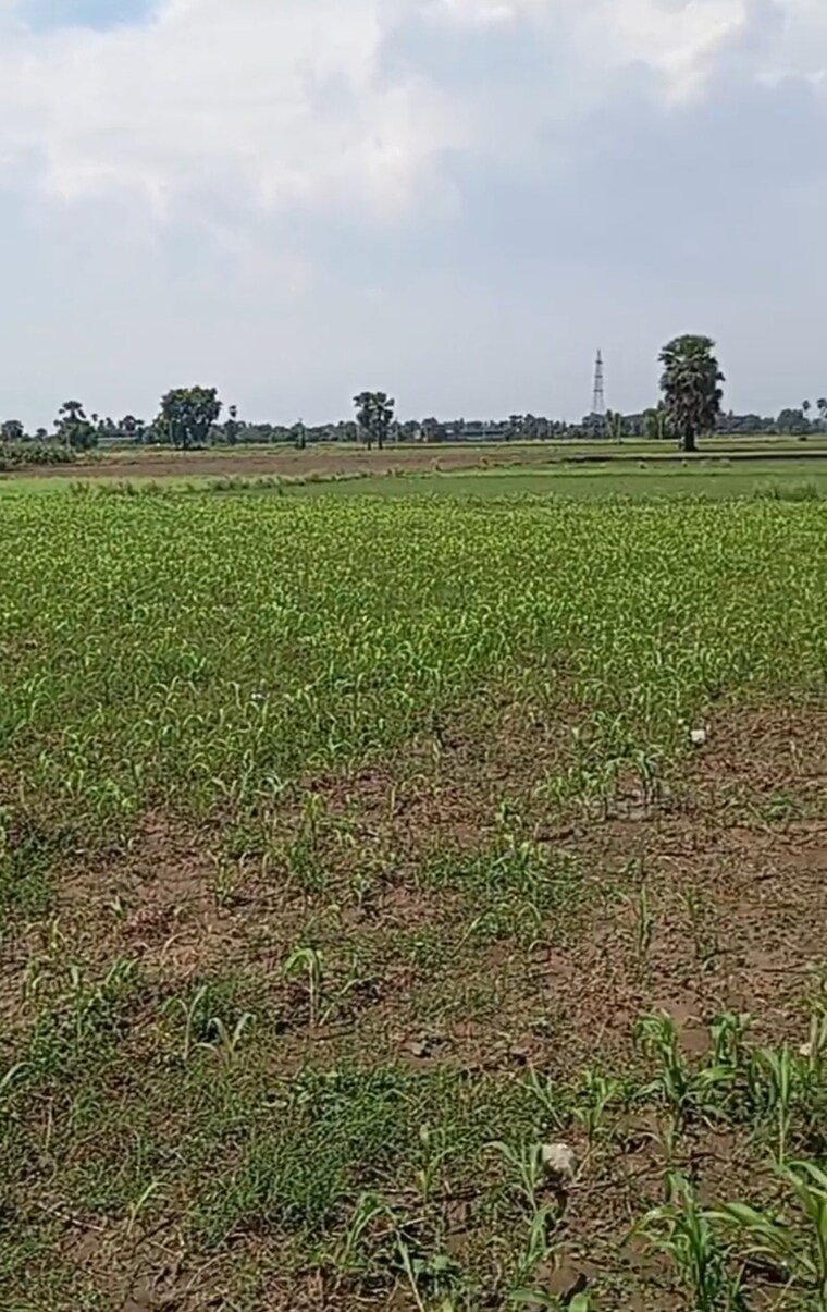 undefined, painal  1360 Sq.Ft. Plot In Painal Patna 9166763