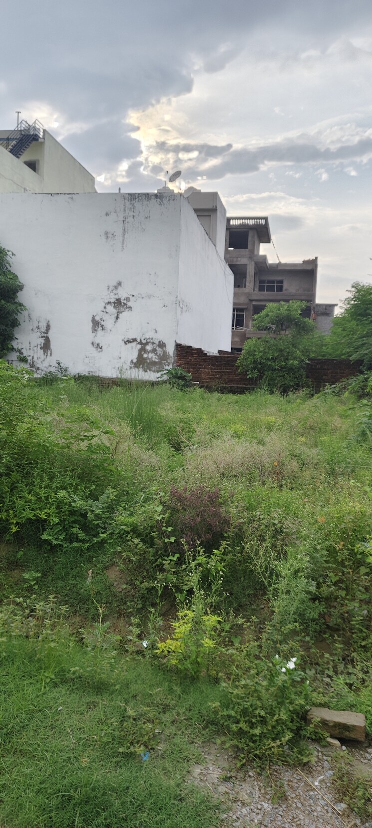 Garden, pintail-park-city  2152 Sq.Yd. Plot In Mastemau Lucknow 9167125