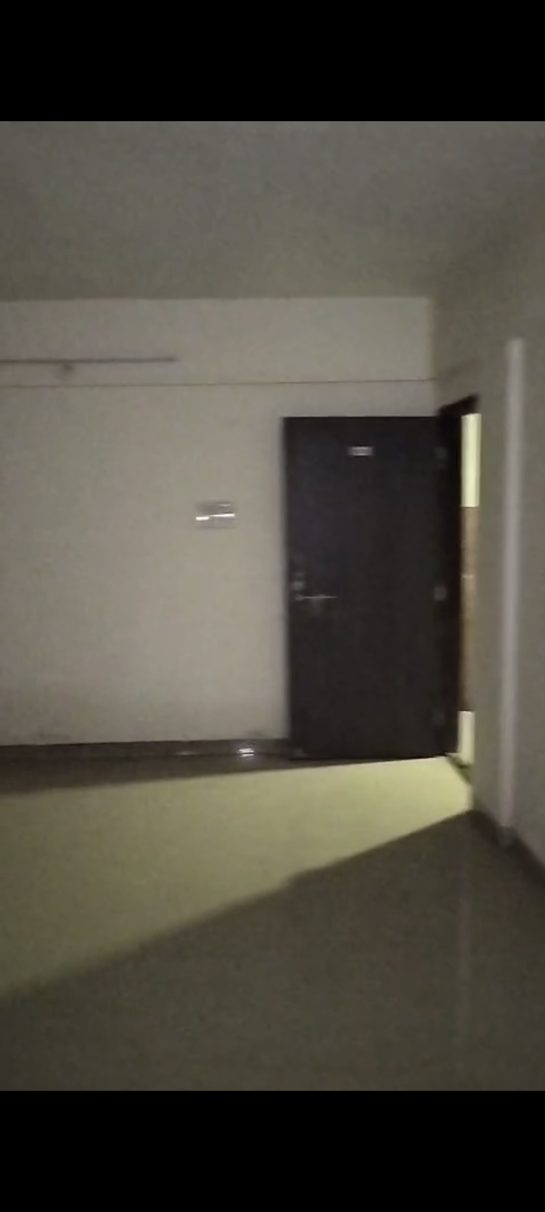 1 BHK Apartment For Sale in Alfa Mana Residence