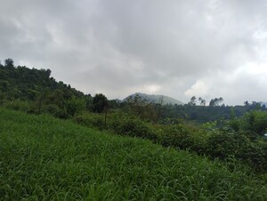 Plot Area in  Plot at Naukuchiatal – for Sale