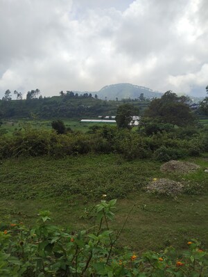 Plot Area in  Plot at Naukuchiatal – for Sale