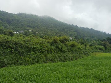  Plot – Garden View at Naukuchiatal - for Sale