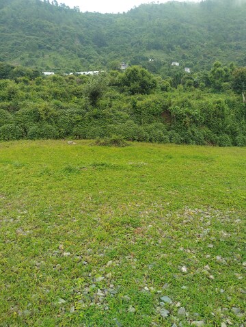  Plot – Garden View at Naukuchiatal - for Sale