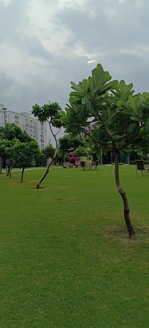  Plot – Garden View at Ansal Sushant Golf city, Sushant Golf City - for Sale