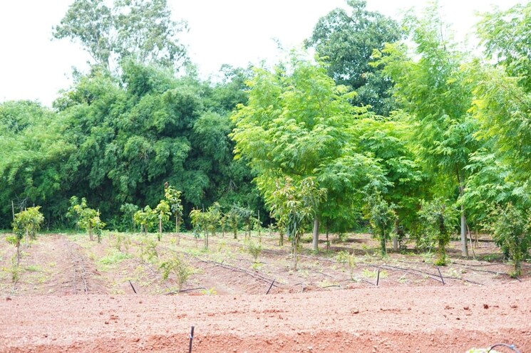 undefined, nawabpet  200 Sq.Yd. Plot In Nawabpet Vikarabad 9167648