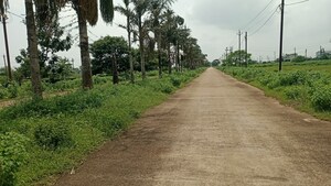 Plot Area in  Plot at Santoshi Nagar – for Sale