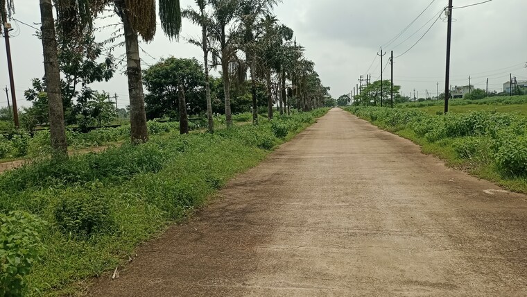 undefined, santoshi nagar  1000 Sq.Ft. Plot In Santoshi Nagar Raipur 9167752