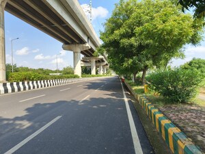  Plot For Sale in Sector 144