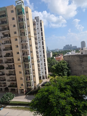 2 BHK Apartment For Sale in Umang Winter Hills, Sector 77