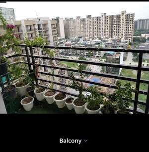 Balcony in 3 BHK Apartment at Adore Samriddhi, Sector 89 – for Sale