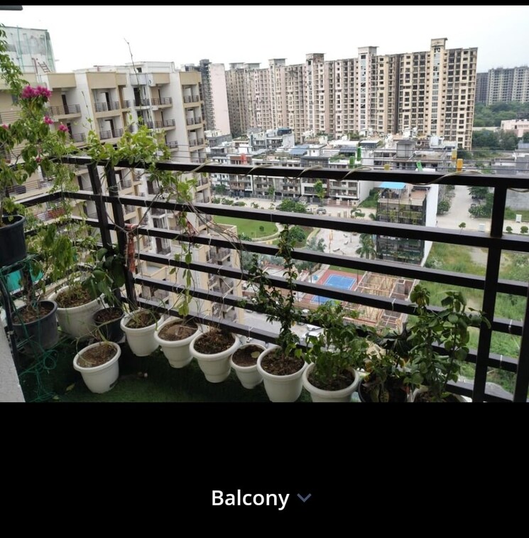 Balcony, adore-samriddhi 3 Bedroom 800 Sq.Ft. Apartment In Sector 89 Faridabad 9168588