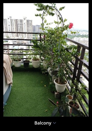 Balcony in 3 BHK Apartment at Adore Samriddhi, Sector 89 – for Sale