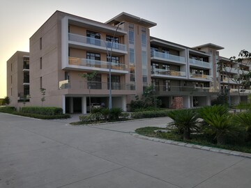 3 BHK Apartment For Rent in New Chandigarh