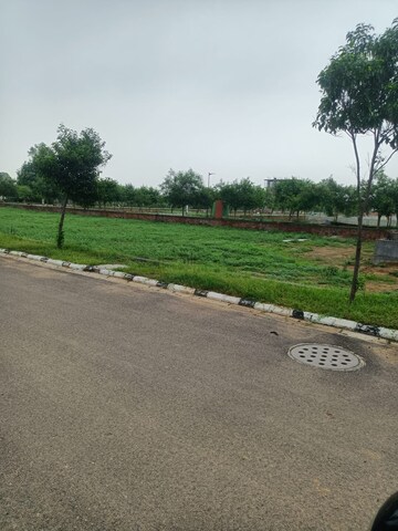 Plot Area in  Plot at Rambha Corona Greens, Sohna Sector 5 – for Sale