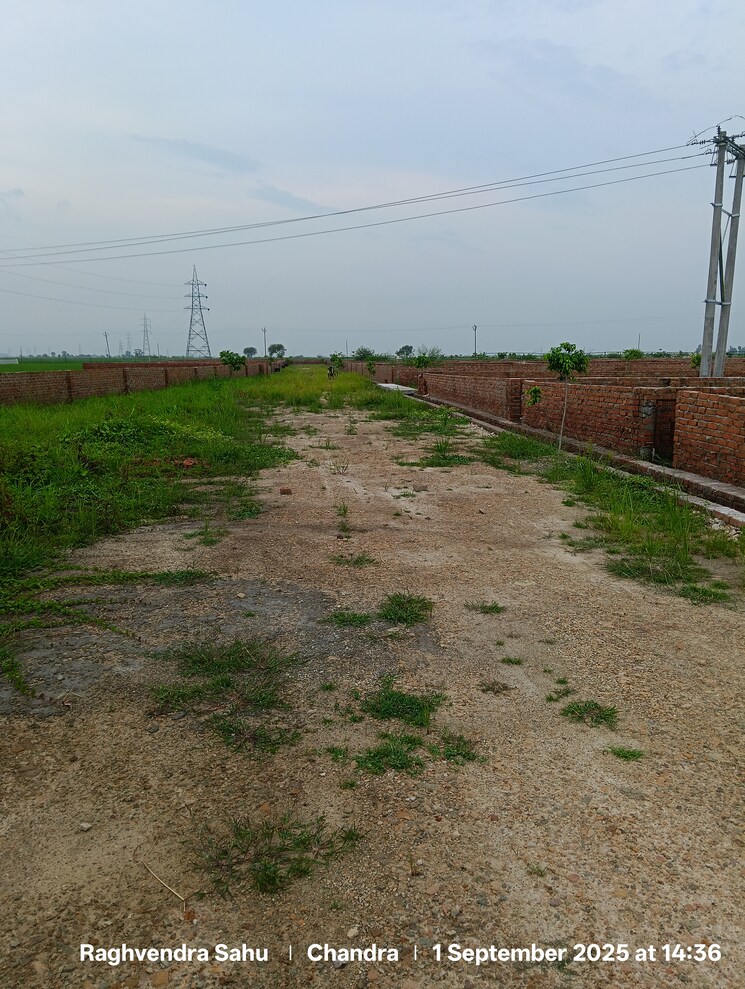 undefined, nimal  1000 Sq.Ft. Plot In Nimal Rajgir 9169429
