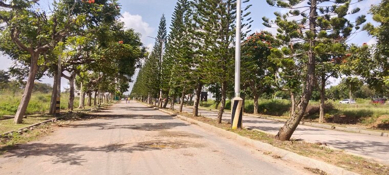 undefined, chandapura  4985 Sq.Ft. Plot In Chandapura Bangalore 9169561