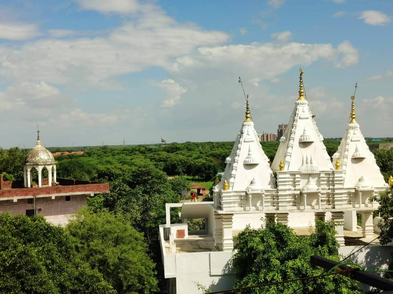 1 BHK Builder Floor For Rent in Ignou Road 