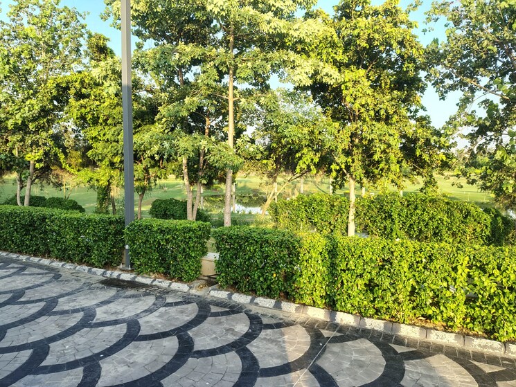 Garden, sector 128 3.5 Bedroom 2850 Sq.Ft. Apartment In Sector 128 Noida 9169597