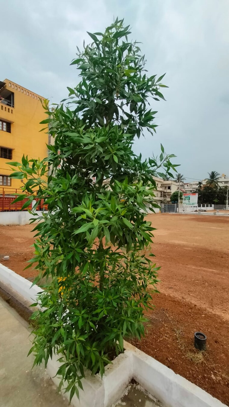 undefined, chandapura  4962 Sq.Ft. Plot In Chandapura Bangalore 9169644