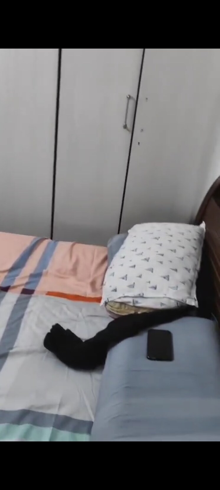 Bedroom, kishore-kunj-chs 1 Bedroom 450 Sq.Ft. Apartment In Mazgaon Mumbai 9169669