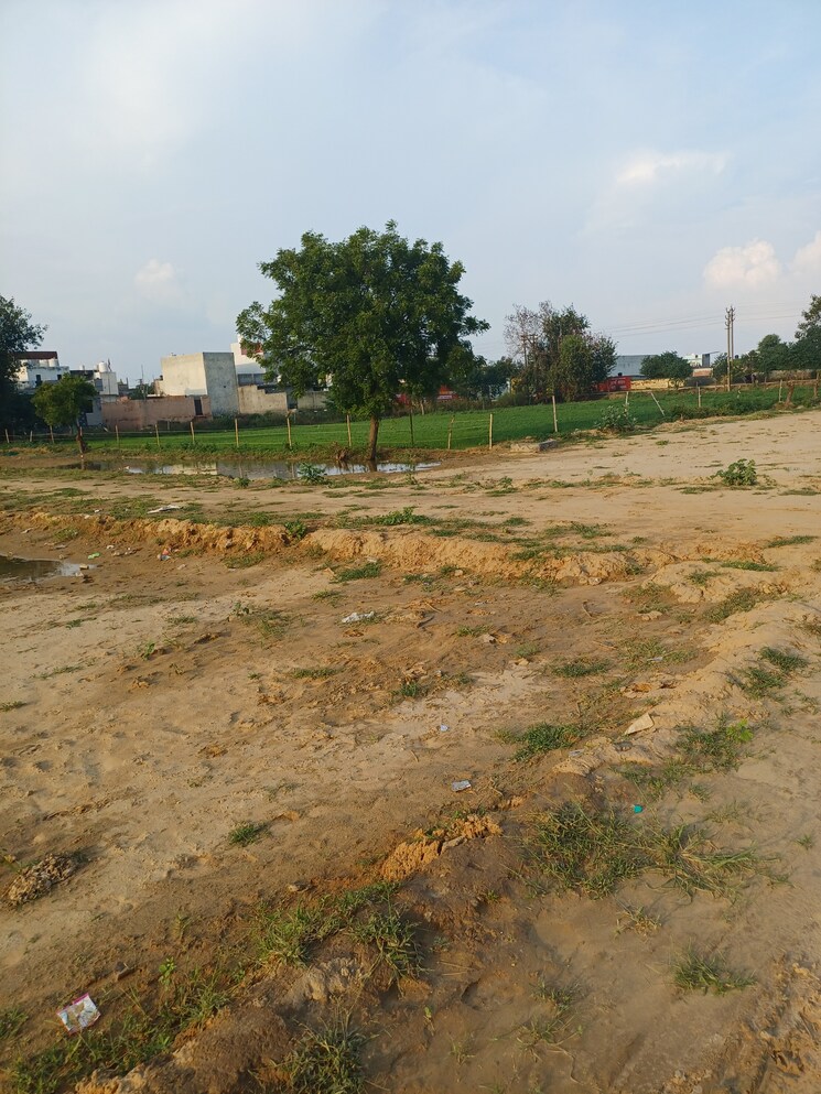 Garden, bhopani  52 Sq.Yd. Plot In Bhopani Faridabad 9169668