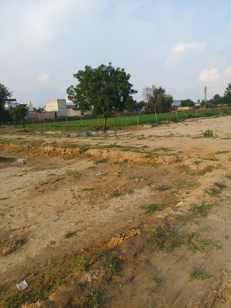 Garden, bhopani  52 Sq.Yd. Plot In Bhopani Faridabad 9169668