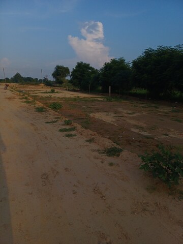  Plot For Sale in Bhopani