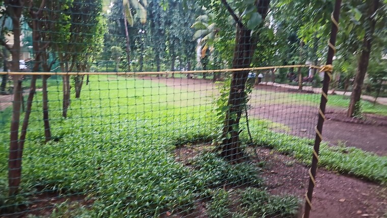 Garden, siddhachal-shopping-centre 3.5 Bedroom 1650 Sq.Ft. Apartment In Vasant Vihar Thane 9169839