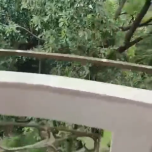 Balcony in 3 BHK Builder Floor at Malviya Nagar – for Sale