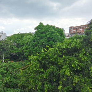 3.5 BHK Builder Floor – Garden View at Anand Niketan - for Sale