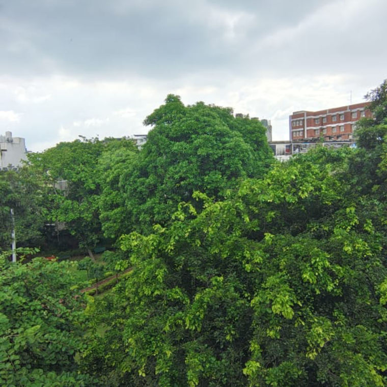 Garden, anand niketan 3.5 Bedroom 2200 Sq.Ft. Builder Floor In Anand Niketan Delhi 9169991