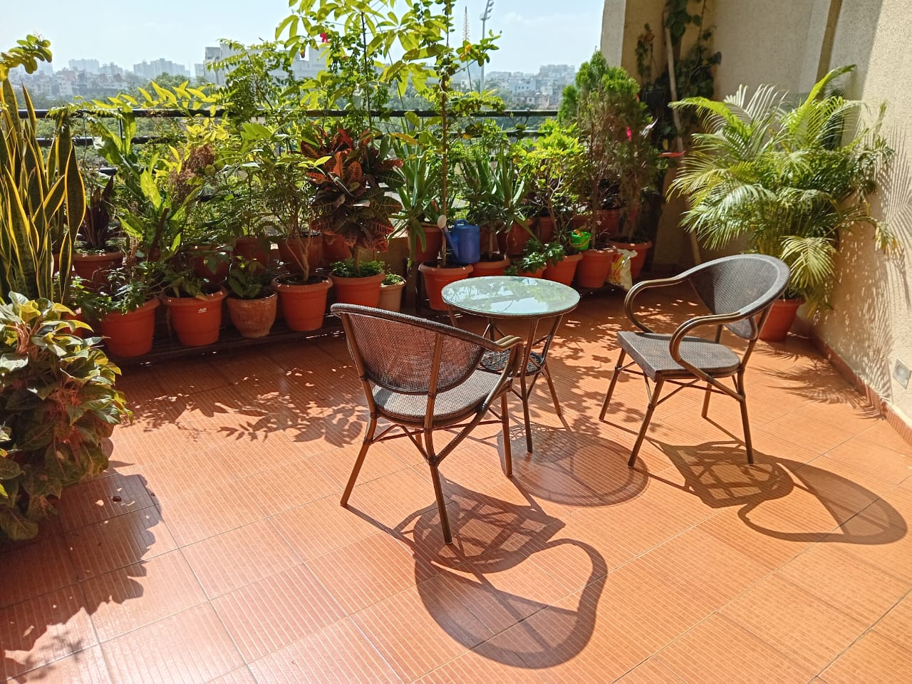 2 BHK Apartment For Rent in Swiss County