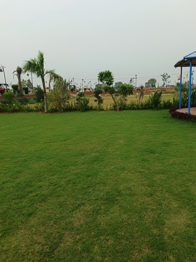 Garden, tugalpur village  250 Sq.Yd. Plot In Tugalpur Village Greater Noida 9170069