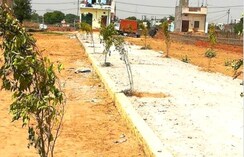 Plot For Sale in Supertech Golf Country