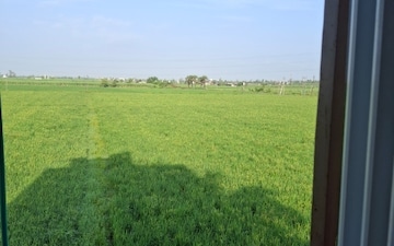 Land For Rent in Dumas