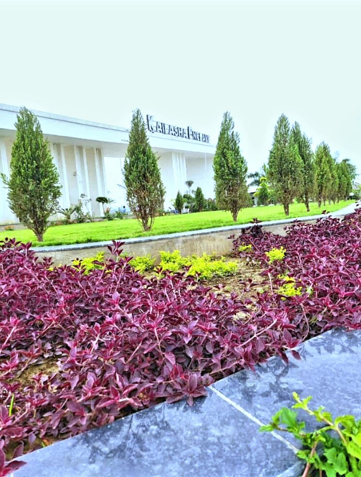 Garden, kailasha-enclave  1323 Sq.Ft. Plot In Sultanpur Road Lucknow 9170256