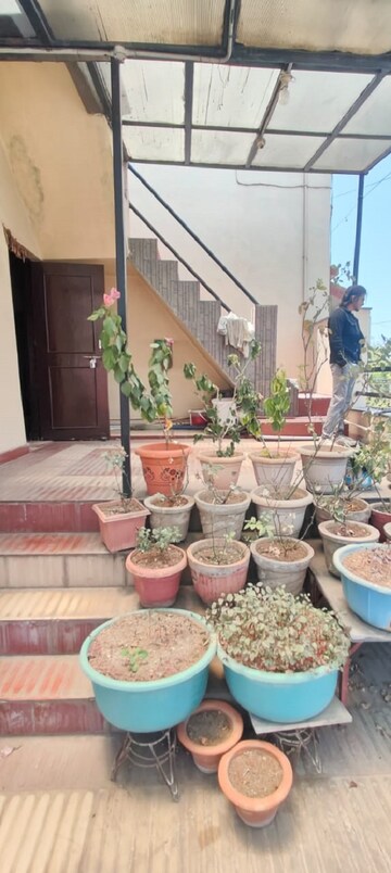 Living Room in 3 BHK Independent House at Bhatagaon – for Rent