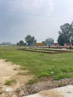  Plot For Sale in Bhooni