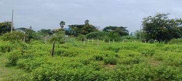  Plot For Sale in Bongloor