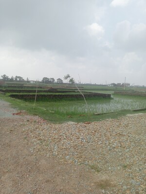 Plot Area in  Plot at Ramnagar – for Sale