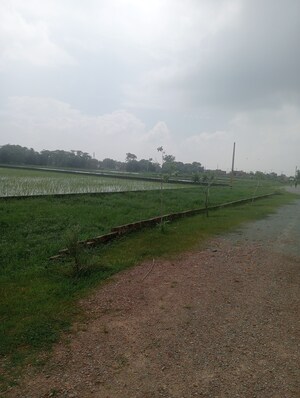 Plot Area in  Plot at Ramnagar – for Sale
