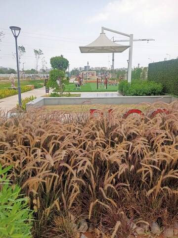 Plot Area in  Plot at Parklands, Sector 85 – for Sale