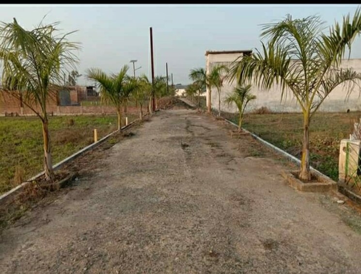 undefined, panagar  1100 Sq.Ft. Plot In Panagar Jabalpur 9172266