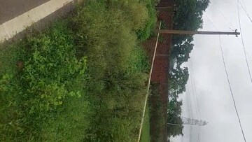  Land For Sale in Pithoria Road