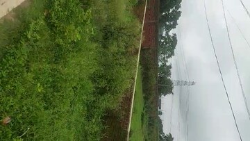  Land – Exterior View View at Pithoria Road - for Sale