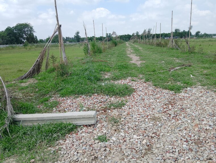 undefined, sector 143  650 Sq.Ft. Plot In Sector 143 Noida 9172310