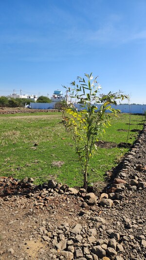 Plot Area in  Plot at Katangi – for Sale